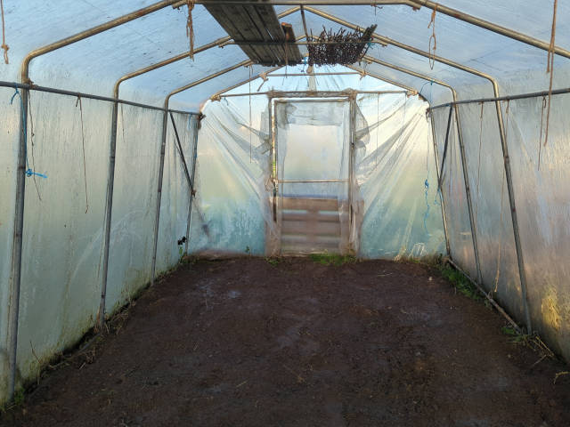 Photo : L'intérieur de la serre. La terre vient dếtre arrosée. Entreposés sur les traverses, les tuteurs pour les tomates et les perches pour les haricots grimpants